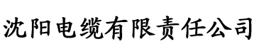 欧美日韩亚洲一区二区三区电缆厂logo